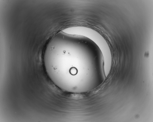 X0000102380520200808151900