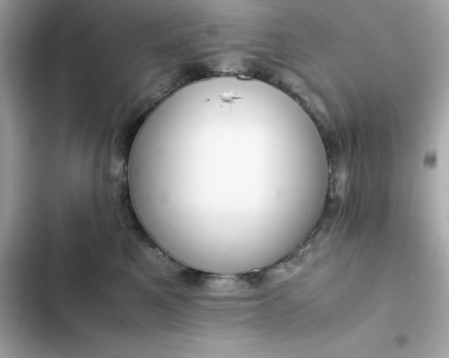 X0000102380521200808151900