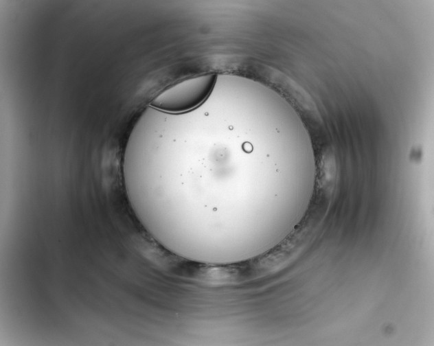 X0000102380522200808151900