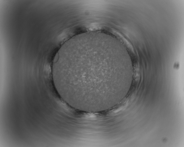 X0000102380523200808151900