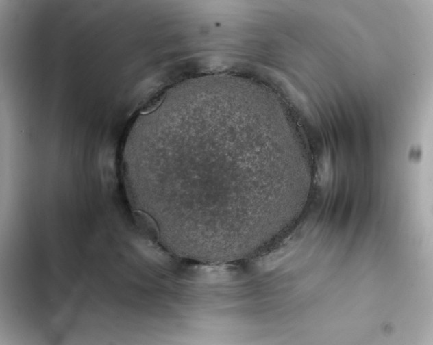 X0000102380524200808151900