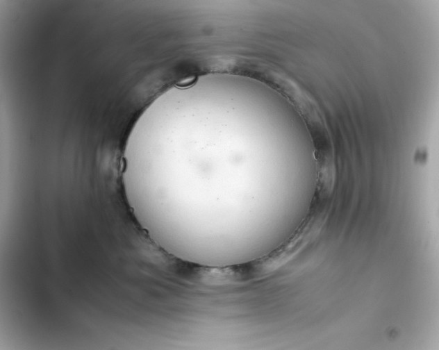 X0000102380525200808151900