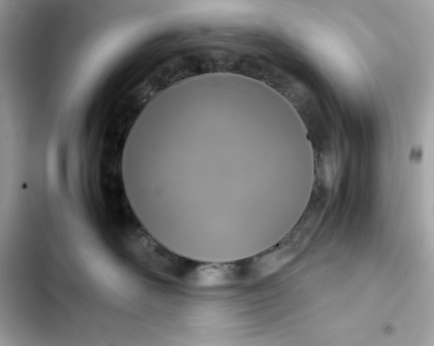 X0000102380526200808151900