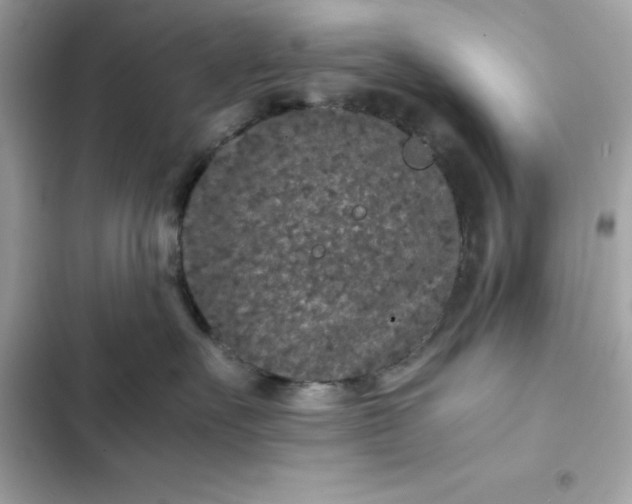 X0000102380527200808151900