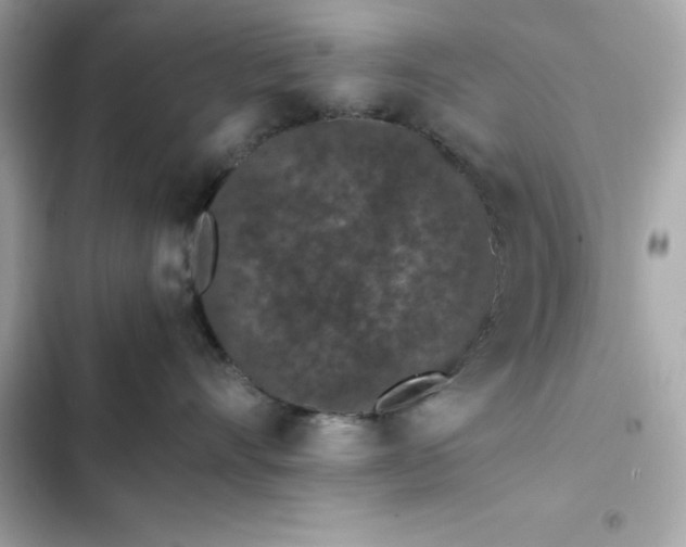 X0000102380528200808151900