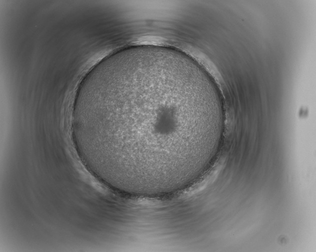 X0000102380529200808151859