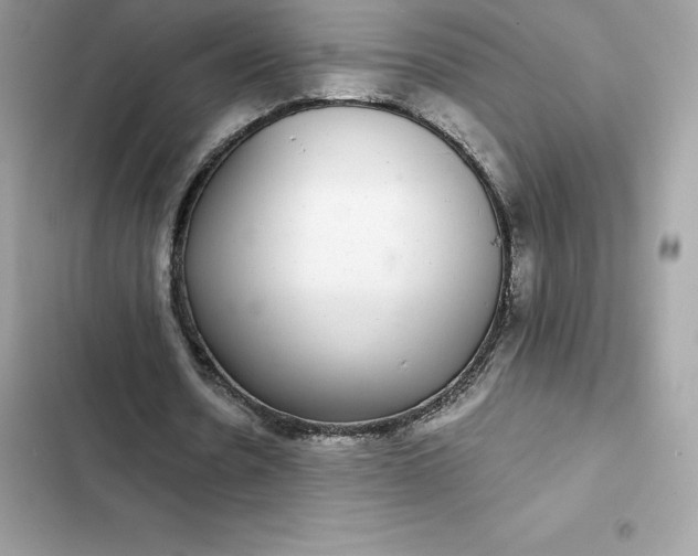 X0000102380530200808151900