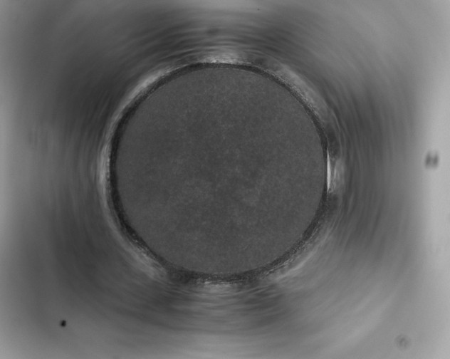 X0000102380531200808151900