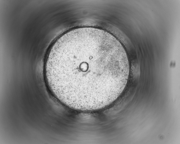 X0000102380534200808151900