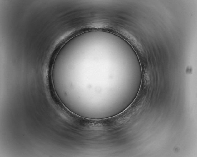 X0000102380535200808151900