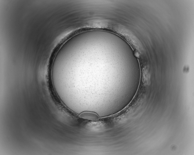 X0000102380536200808151900