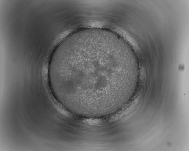 X0000102380537200808151900