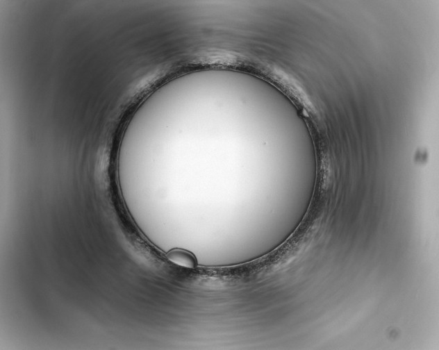 X0000102380538200808151900