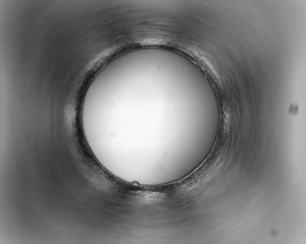 X0000102380539200808151900