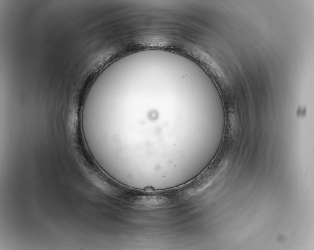 X0000102380541200808151900