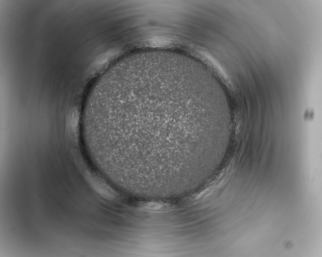 X0000102380542200808151900