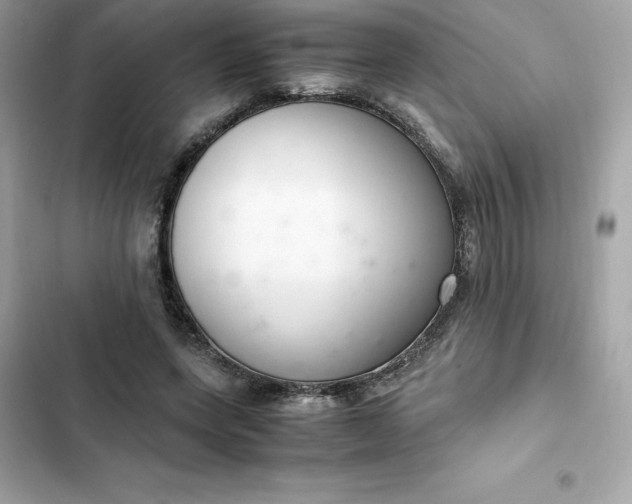 X0000102380543200808151900