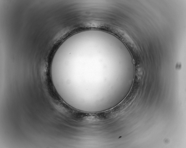 X0000102380544200808151900