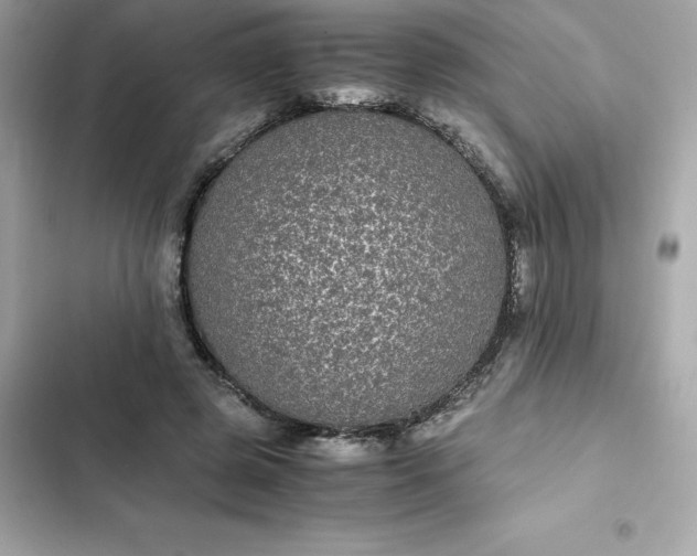 X0000102380545200808151900