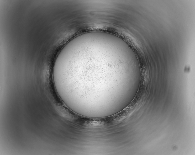 X0000102380546200808151900