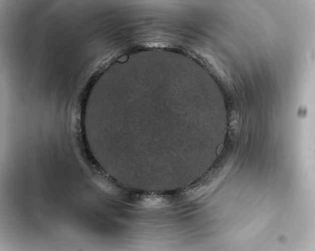 X0000102380547200808151900