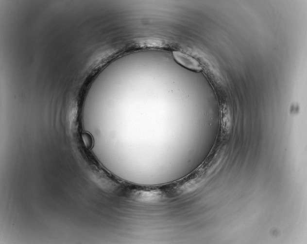 X0000102380548200808151900