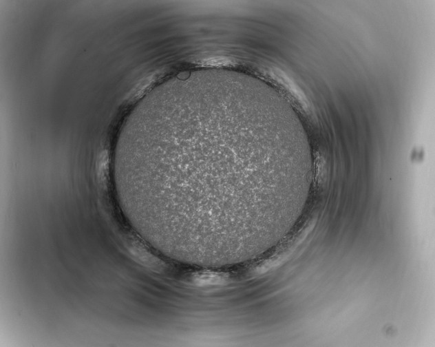 X0000102380549200808151900