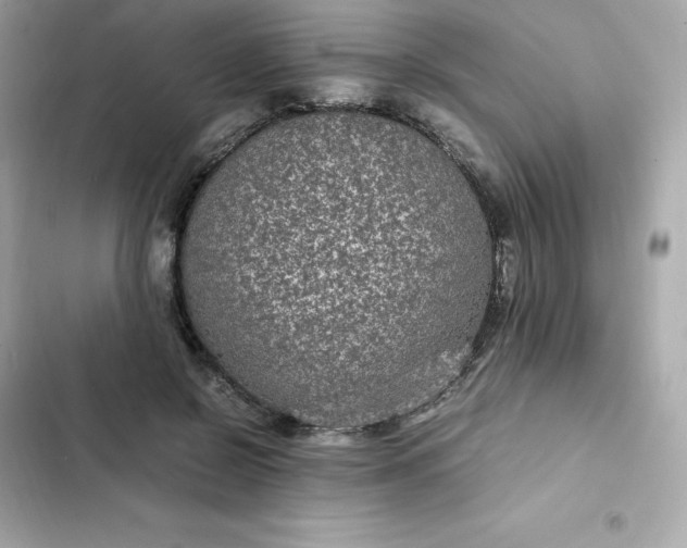 X0000102380550200808151900