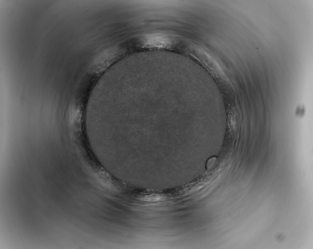 X0000102380551200808151900