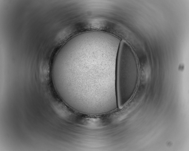 X0000102380552200808151900