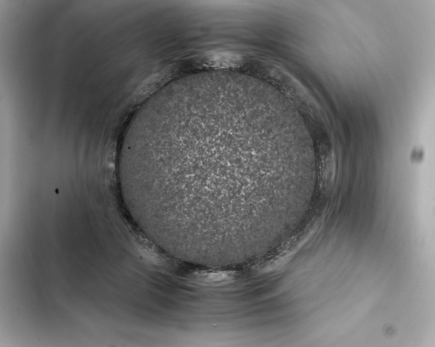 X0000102380553200808151900