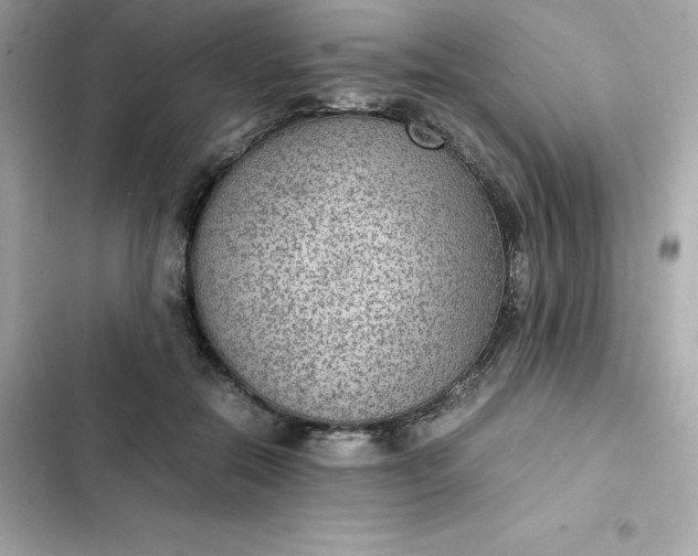 X0000102380554200808151900