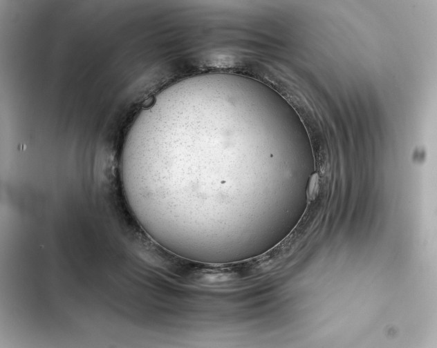 X0000102380555200808151900