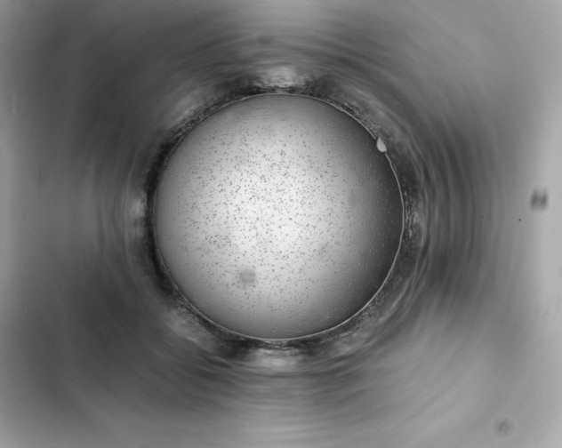 X0000102380556200808151900