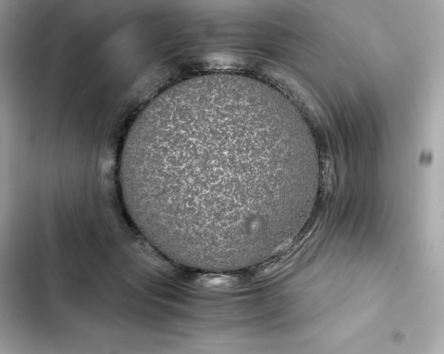 X0000102380557200808151900