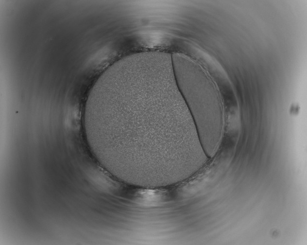 X0000102380558200808151900