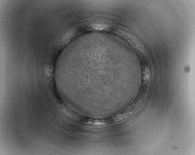 X0000102380559200808151900