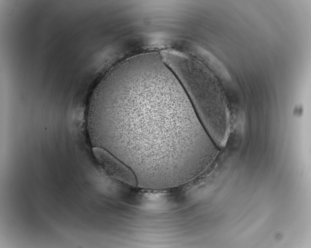 X0000102380560200808151900