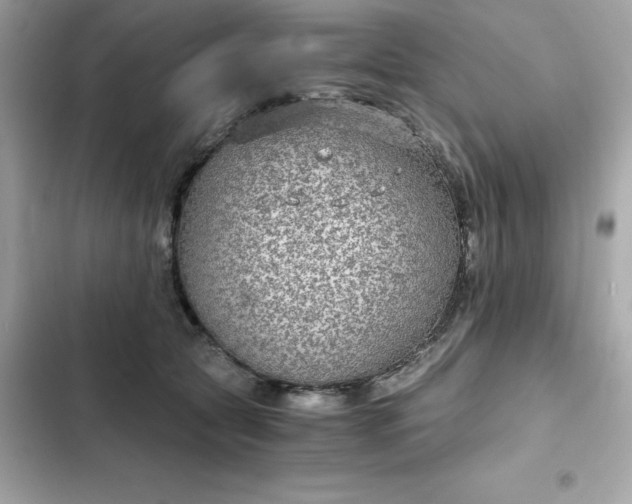 X0000102380561200808151900