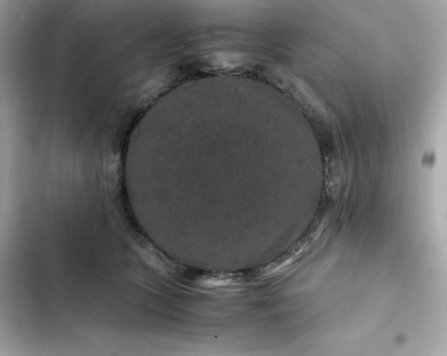 X0000102380563200808151900