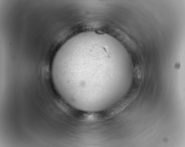 X0000102380564200808151900