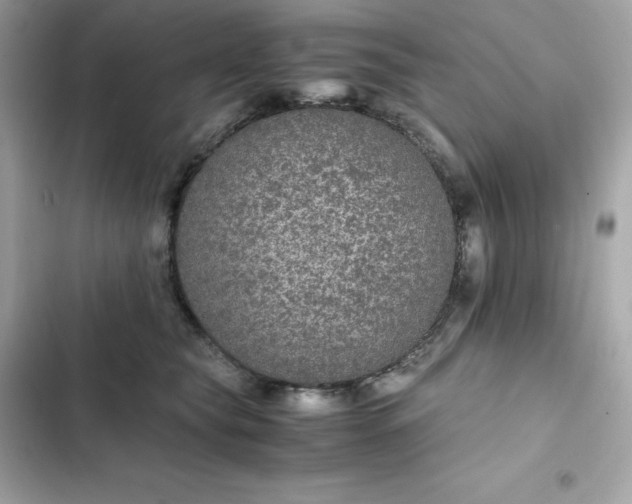 X0000102380565200808151900