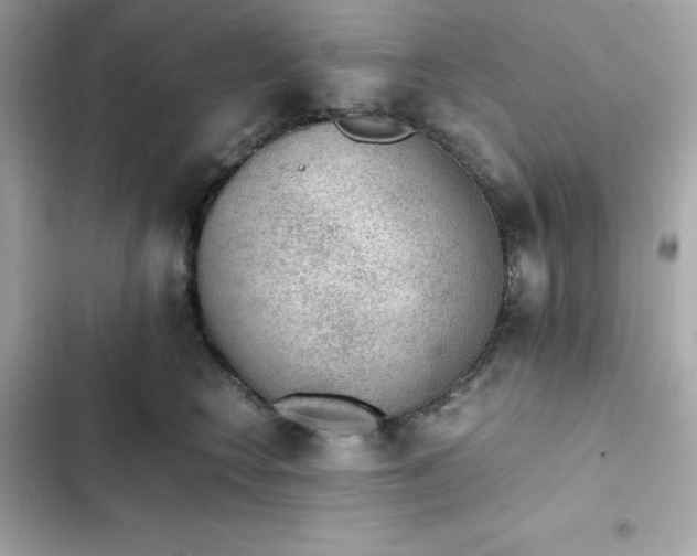 X0000102380566200808151900