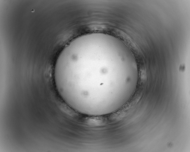 X0000102380567200808151900