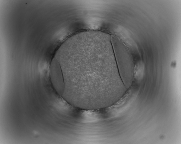 X0000102380568200808151900