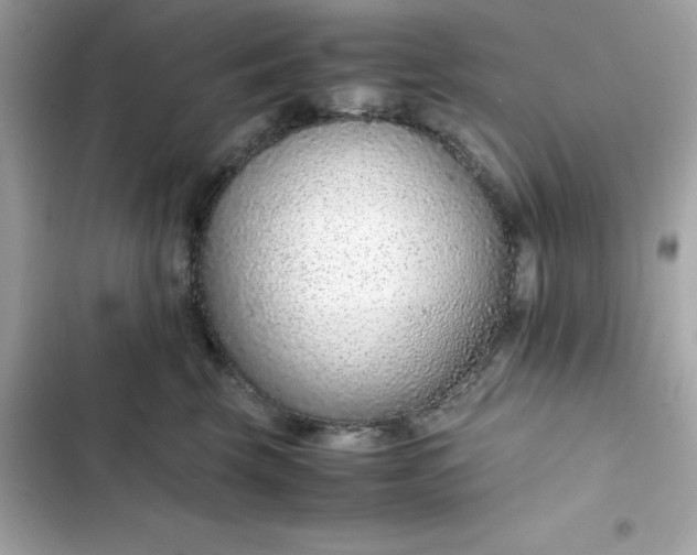 X0000102380569200808151900