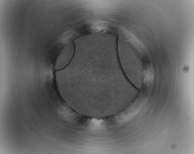 X0000102380570200808151900