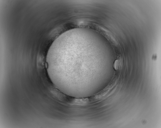 X0000102380571200808151900