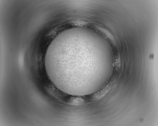 X0000102380572200808151900