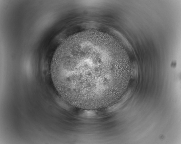 X0000102380573200808151900